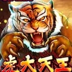 Tiger Warrior game icon